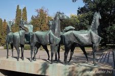 Vén diófák, szép leányik - élet az Akadémiakertben