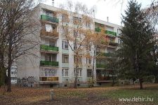 Pocsolyából otthonk - élet a Libakertben