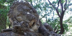 Ororszlán a parkban - élet a Csigekertben